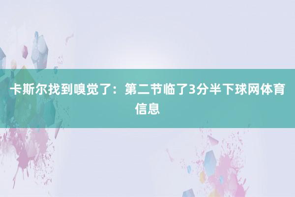 卡斯尔找到嗅觉了:第二节临了3分半下球网体育信息