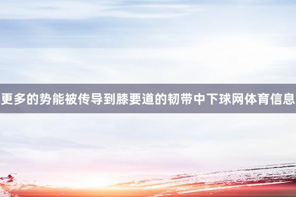 更多的势能被传导到膝要道的韧带中下球网体育信息