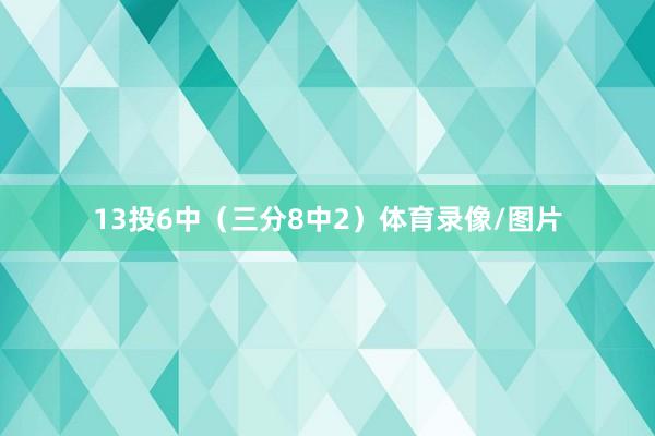 13投6中（三分8中2）体育录像/图片