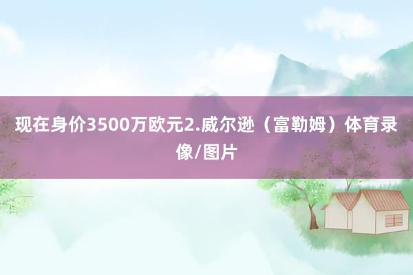 现在身价3500万欧元2.威尔逊（富勒姆）体育录像/图片