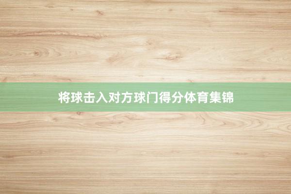 将球击入对方球门得分体育集锦