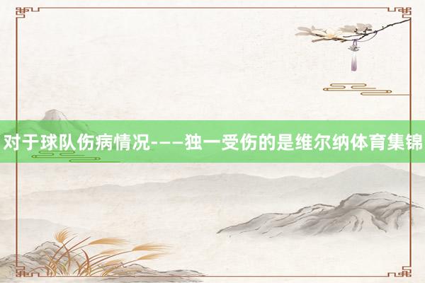 对于球队伤病情况­——独一受伤的是维尔纳体育集锦