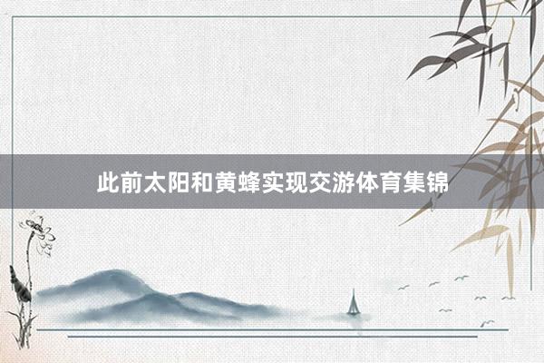 此前太阳和黄蜂实现交游体育集锦
