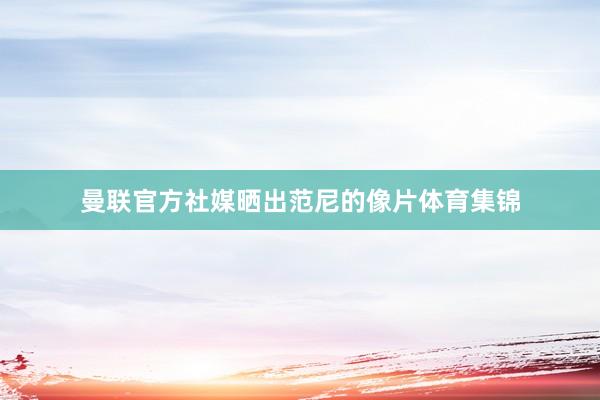 曼联官方社媒晒出范尼的像片体育集锦