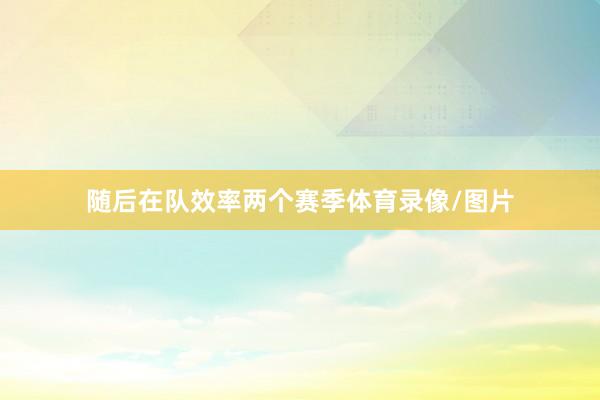 随后在队效率两个赛季体育录像/图片