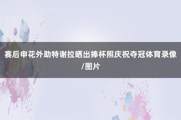 赛后申花外助特谢拉晒出捧杯照庆祝夺冠体育录像/图片
