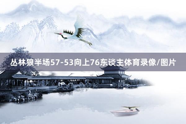 丛林狼半场57-53向上76东谈主体育录像/图片