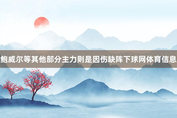 鲍威尔等其他部分主力则是因伤缺阵下球网体育信息