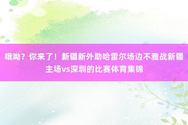 哦呦？你来了！新疆新外助哈雷尔场边不雅战新疆主场vs深圳的比赛体育集锦