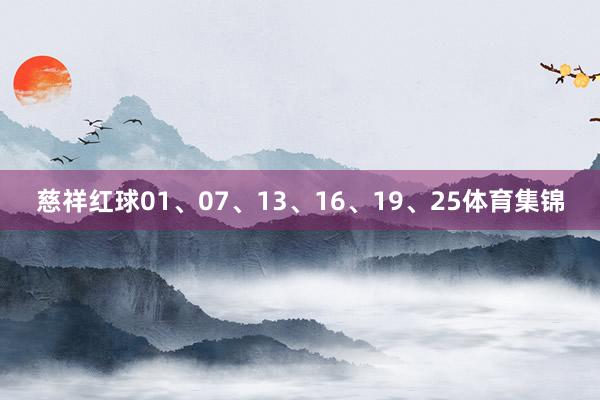 慈祥红球01、07、13、16、19、25体育集锦