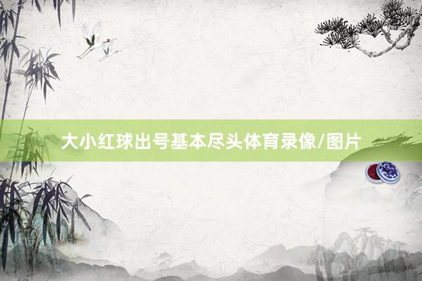 大小红球出号基本尽头体育录像/图片