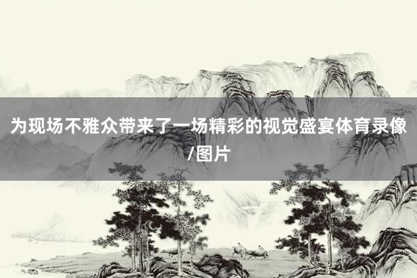 为现场不雅众带来了一场精彩的视觉盛宴体育录像/图片