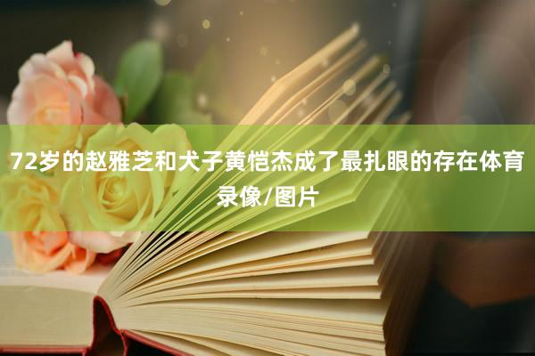 72岁的赵雅芝和犬子黄恺杰成了最扎眼的存在体育录像/图片
