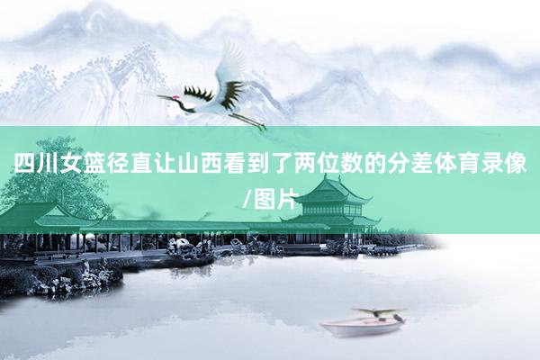 四川女篮径直让山西看到了两位数的分差体育录像/图片
