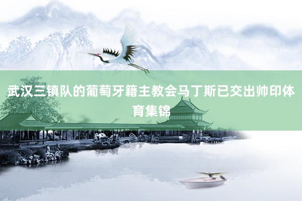 武汉三镇队的葡萄牙籍主教会马丁斯已交出帅印体育集锦