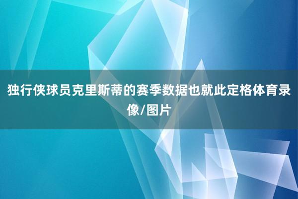 独行侠球员克里斯蒂的赛季数据也就此定格体育录像/图片