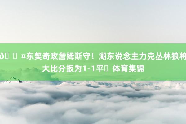 😤东契奇攻詹姆斯守！湖东说念主力克丛林狼将大比分扳为1-1平⚖体育集锦