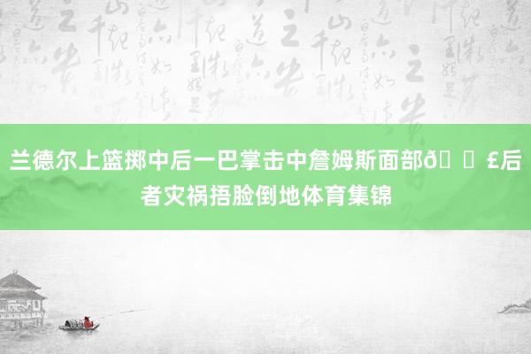 兰德尔上篮掷中后一巴掌击中詹姆斯面部😣后者灾祸捂脸倒地体育集锦
