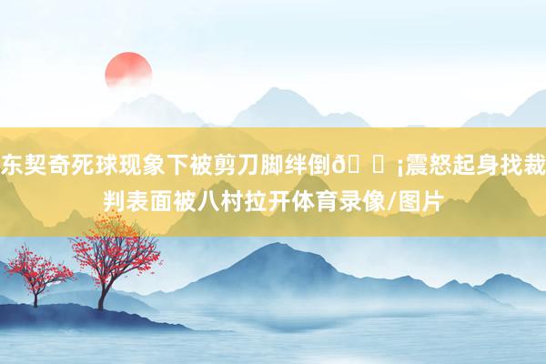 东契奇死球现象下被剪刀脚绊倒😡震怒起身找裁判表面被八村拉开体育录像/图片