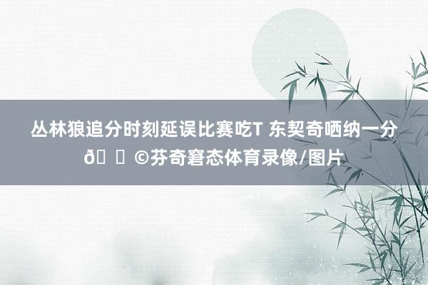 丛林狼追分时刻延误比赛吃T 东契奇哂纳一分😩芬奇窘态体育录像/图片
