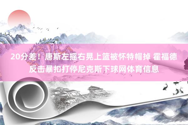 20分差！唐斯左摇右晃上篮被怀特帽掉 霍福德反击暴扣打停尼克斯下球网体育信息