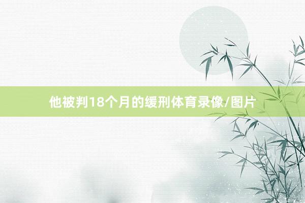 他被判18个月的缓刑体育录像/图片