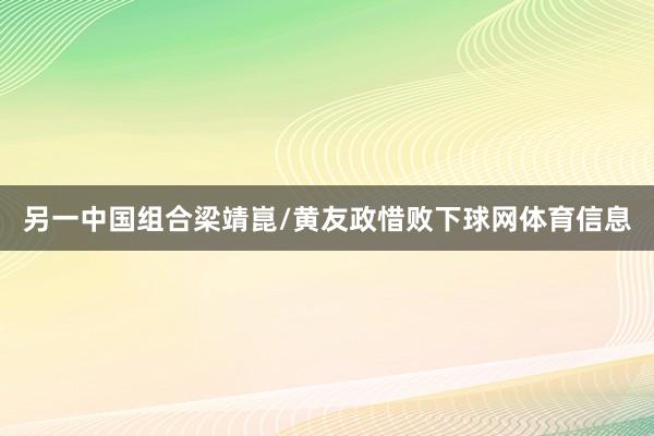 另一中国组合梁靖崑/黄友政惜败下球网体育信息