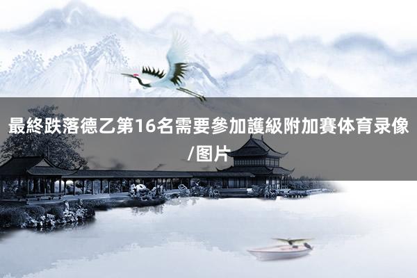 最終跌落德乙第16名需要參加護級附加賽体育录像/图片