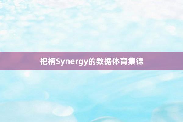 把柄Synergy的数据体育集锦