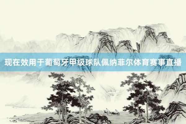 现在效用于葡萄牙甲级球队佩纳菲尔体育赛事直播
