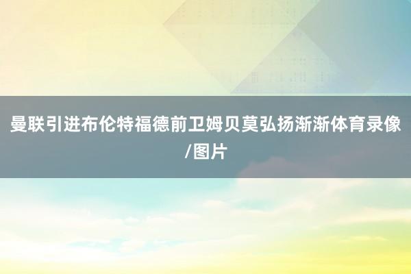 曼联引进布伦特福德前卫姆贝莫弘扬渐渐体育录像/图片