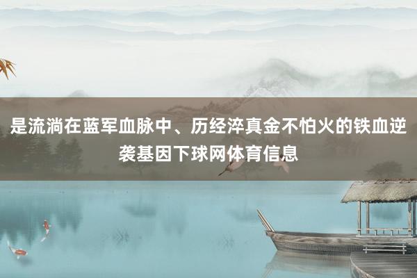 是流淌在蓝军血脉中、历经淬真金不怕火的铁血逆袭基因下球网体育信息