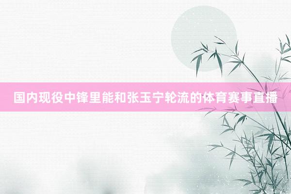 国内现役中锋里能和张玉宁轮流的体育赛事直播