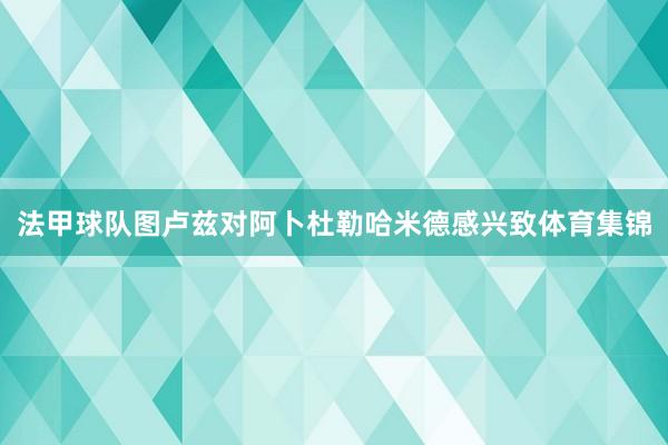 法甲球队图卢兹对阿卜杜勒哈米德感兴致体育集锦