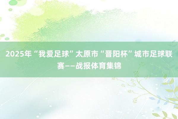 2025年“我爱足球”太原市“晋阳杯”城市足球联赛——战报体育集锦