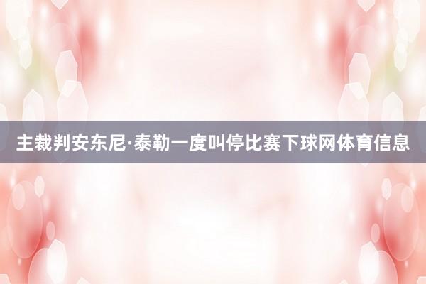 主裁判安东尼·泰勒一度叫停比赛下球网体育信息