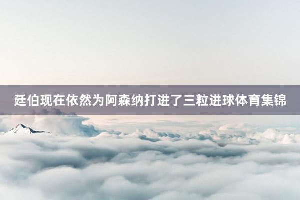廷伯现在依然为阿森纳打进了三粒进球体育集锦