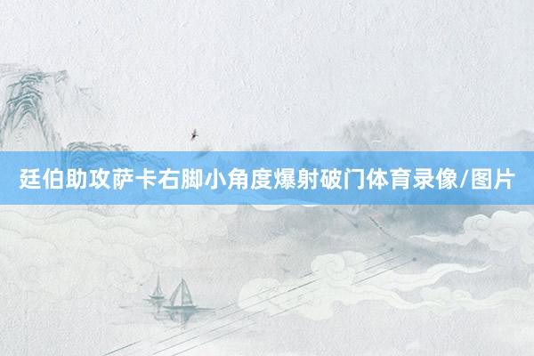 廷伯助攻萨卡右脚小角度爆射破门体育录像/图片
