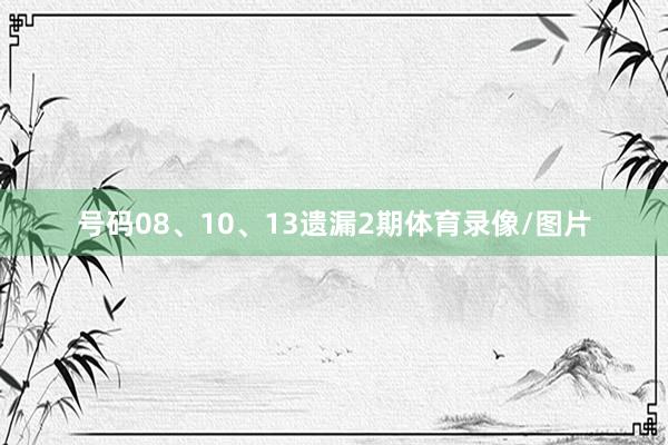 号码08、10、13遗漏2期体育录像/图片