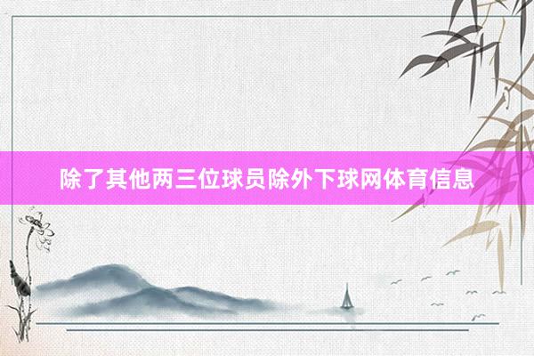 除了其他两三位球员除外下球网体育信息