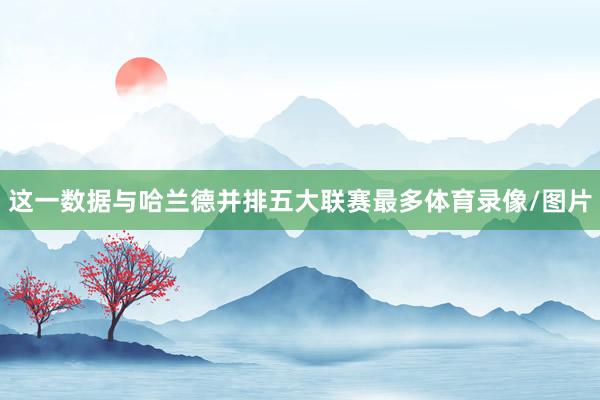 这一数据与哈兰德并排五大联赛最多体育录像/图片
