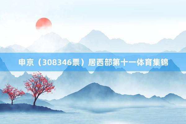 申京（308346票）居西部第十一体育集锦