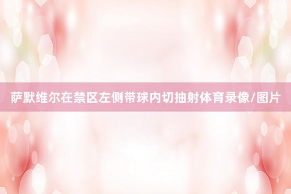 萨默维尔在禁区左侧带球内切抽射体育录像/图片