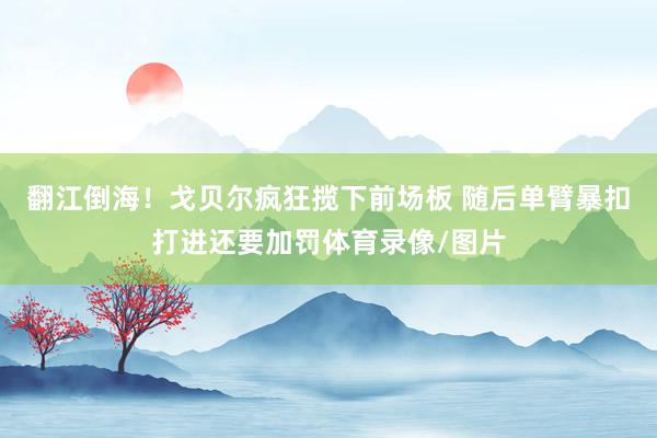 翻江倒海！戈贝尔疯狂揽下前场板 随后单臂暴扣打进还要加罚体育录像/图片