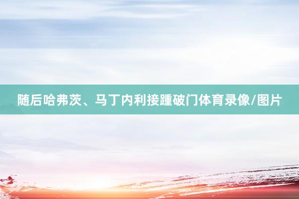 随后哈弗茨、马丁内利接踵破门体育录像/图片