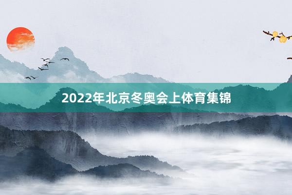 2022年北京冬奥会上体育集锦