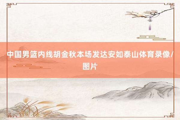 中国男篮内线胡金秋本场发达安如泰山体育录像/图片