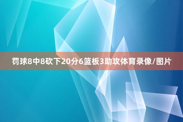 罚球8中8砍下20分6篮板3助攻体育录像/图片