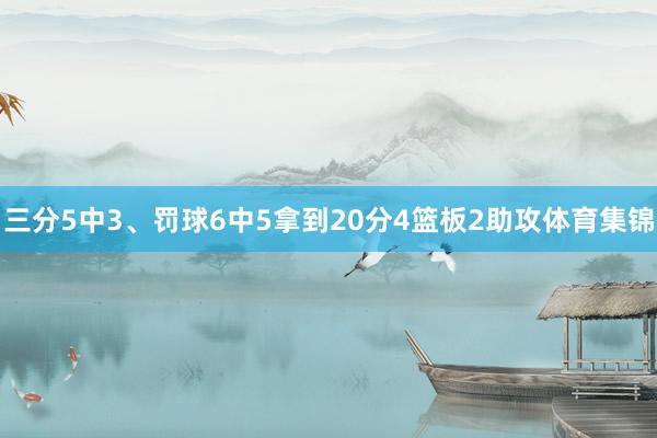 三分5中3、罚球6中5拿到20分4篮板2助攻体育集锦