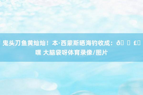 鬼头刀鱼黄灿灿!本·西蒙斯晒海钓收成:🗣️嘿 大脑袋呀体育录像/图片